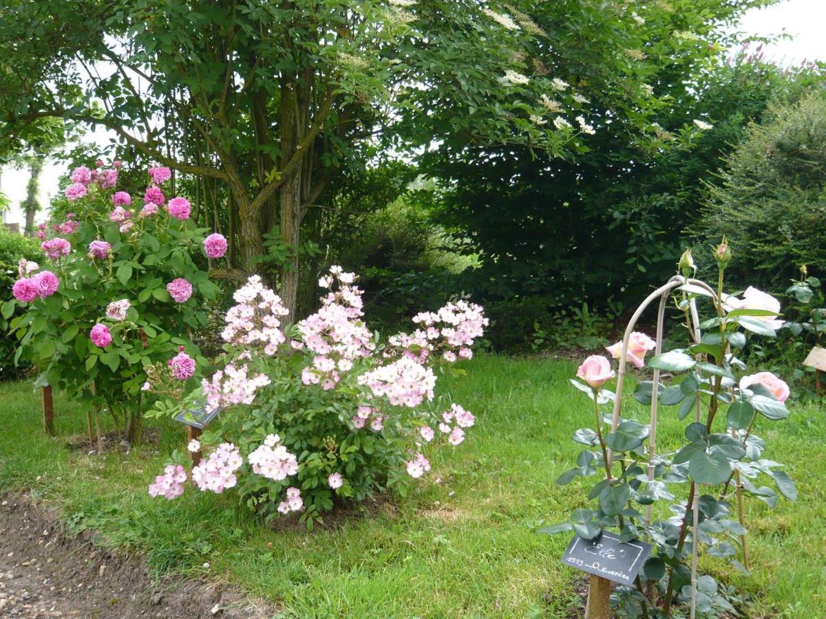 Gite Les Jardins De Terrefort Saumur Εξωτερικό φωτογραφία